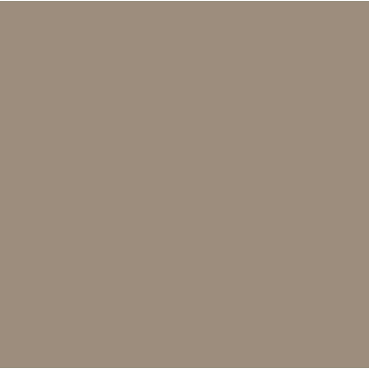 10-Inch Silicone-Rimmed Glass Lid P8834
