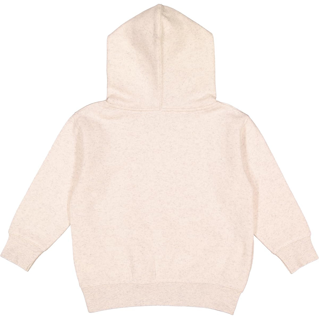 Toddler Hoodie C238