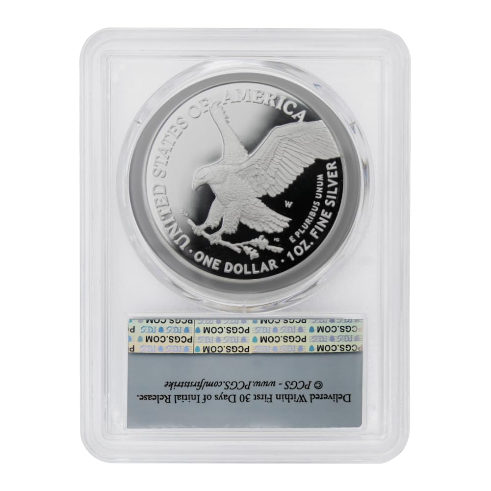 1 oz American Silver Eagle Coin V358597