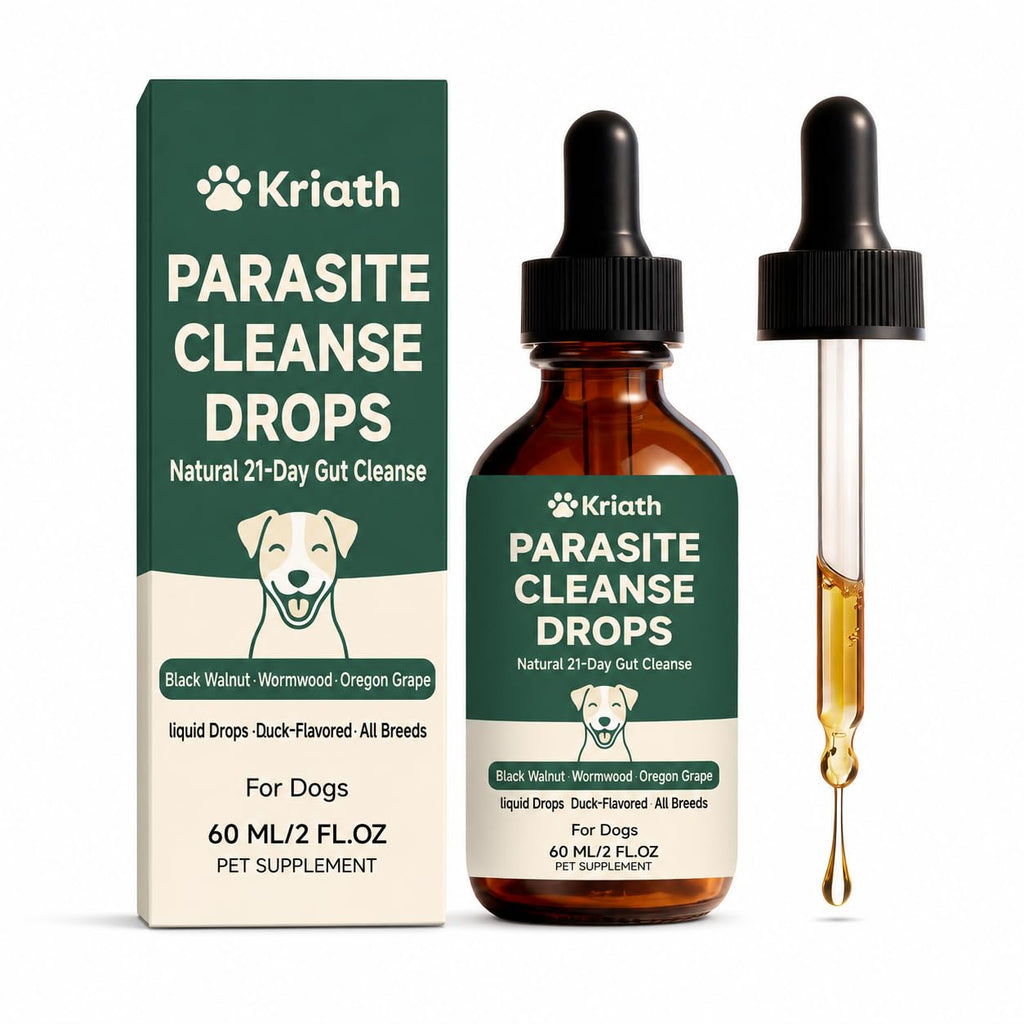 Black Walnut & Wormwood Herbal Drops 60 mL / 2 Fl Oz B580411