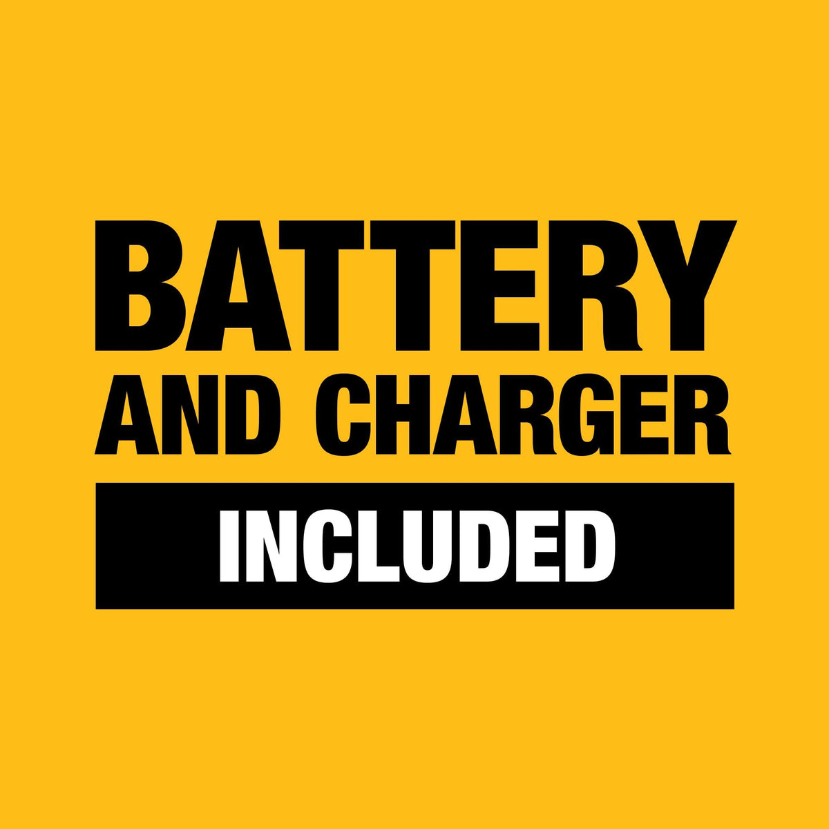 20V MAX Lithium Ion Battery Starter Kit E243