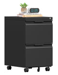 2 Drawer Mobile File Cabinet with Lock X448