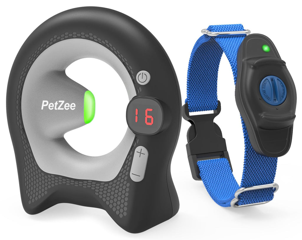Wireless Dog Fence System with Transmitter and Receiver Z3467