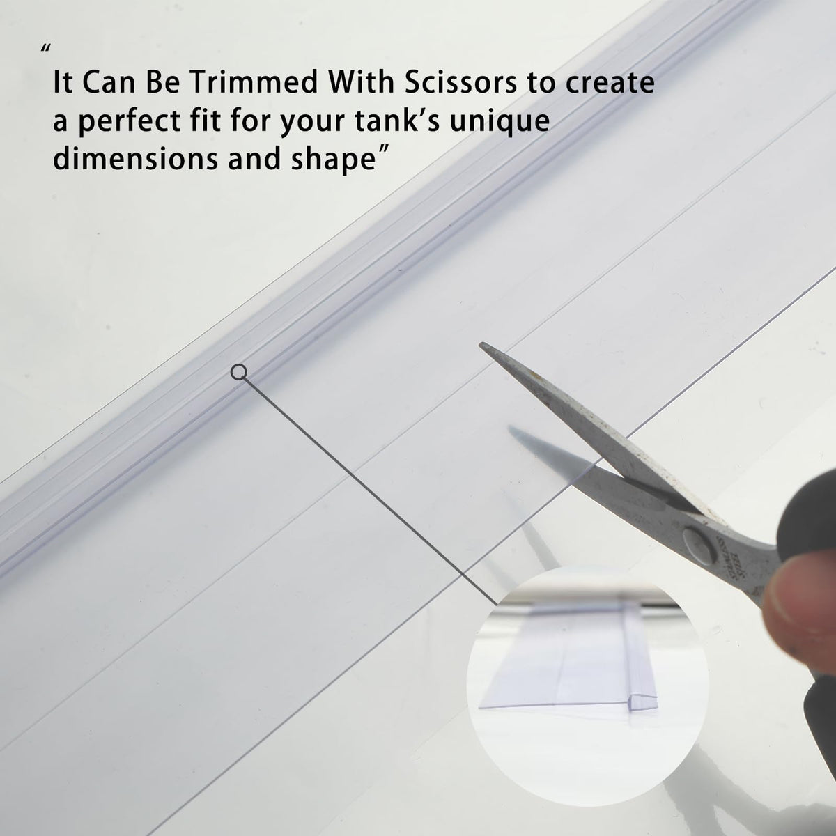 Clear Tempered Glass Canopy E19828