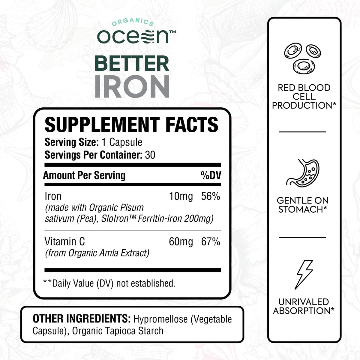 Plant-Based Iron Supplement, 30 Capsules Z128217