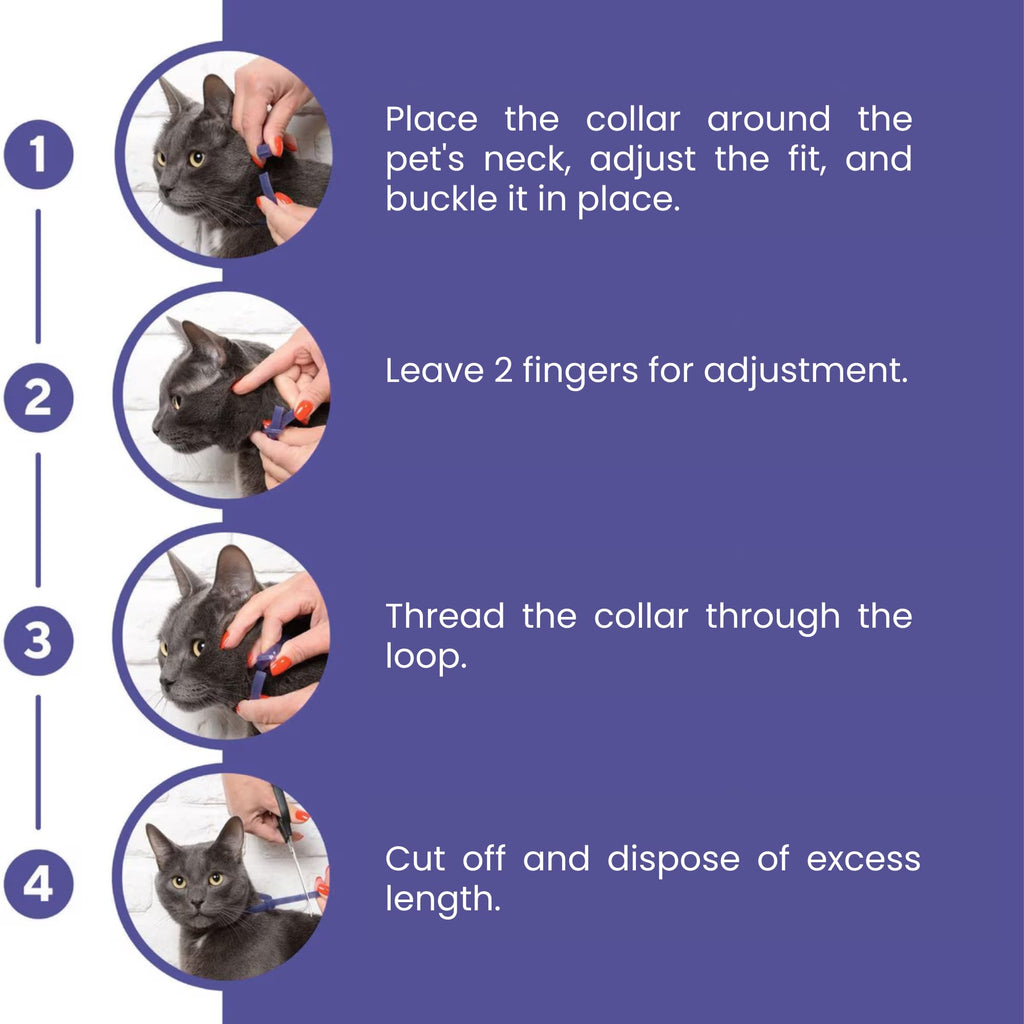 Cat Calming Collar 2-Pack S261994