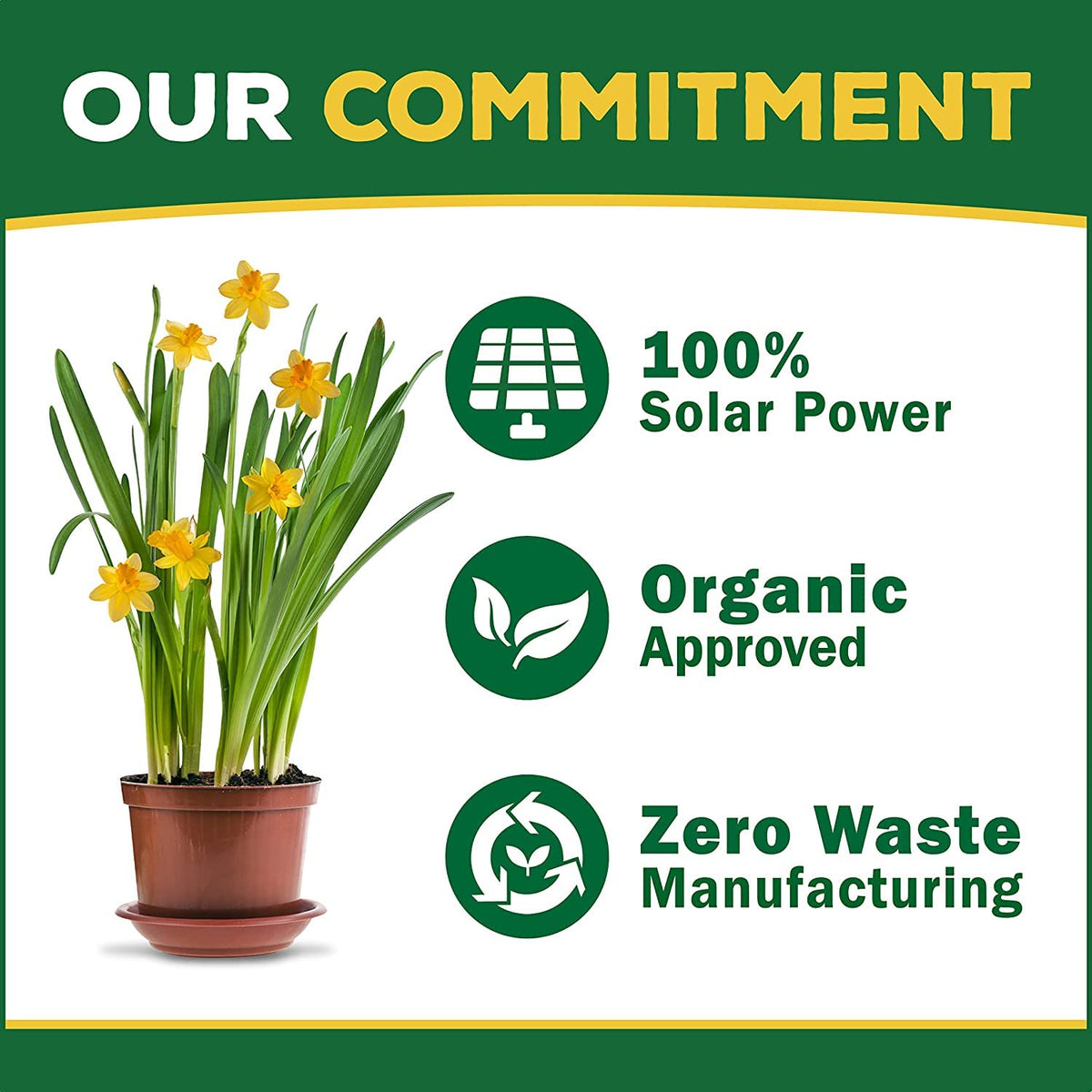Organic Liquid Concentrate Plant Food 16oz E82517