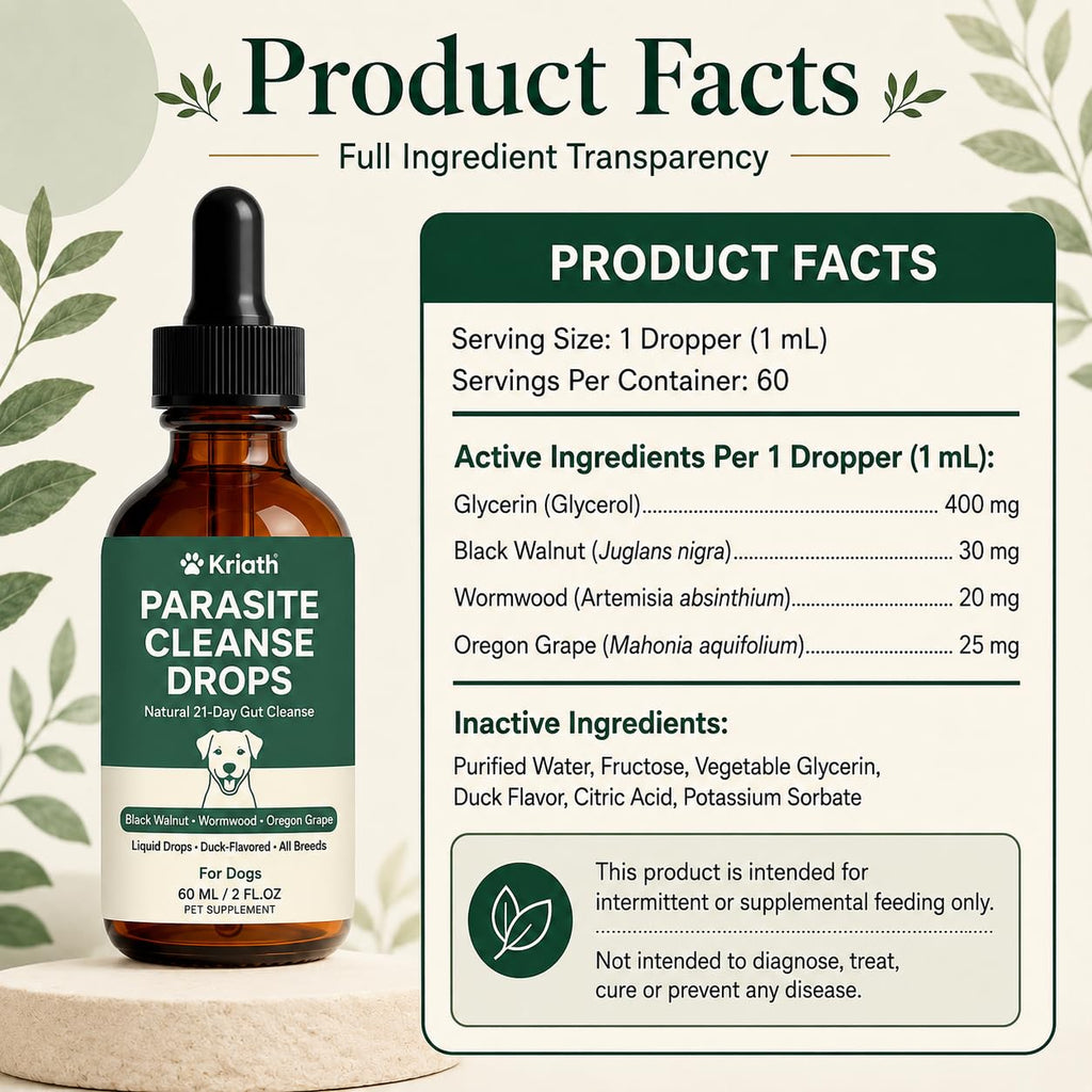 Black Walnut & Wormwood Herbal Drops 60 mL / 2 Fl Oz B580411