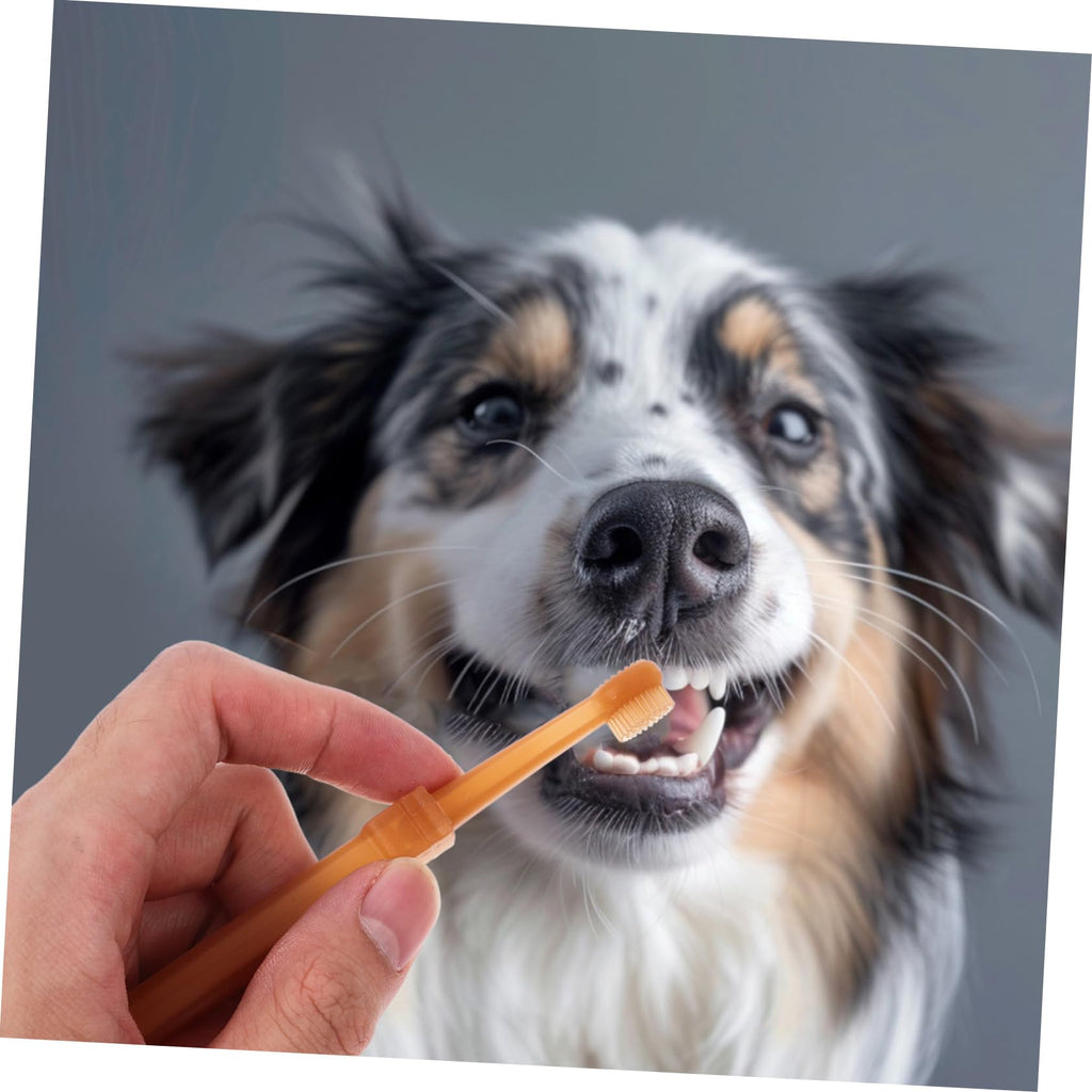 Silicone Dog Toothbrush Kit K942334