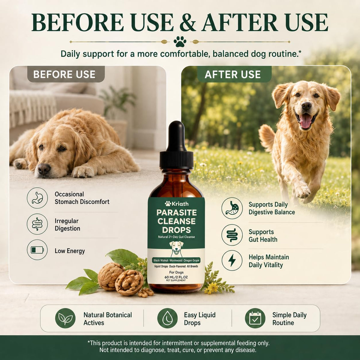 Black Walnut & Wormwood Herbal Drops 60 mL / 2 Fl Oz B580411
