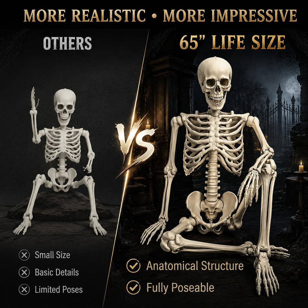 Life Size Poseable Skeleton B141