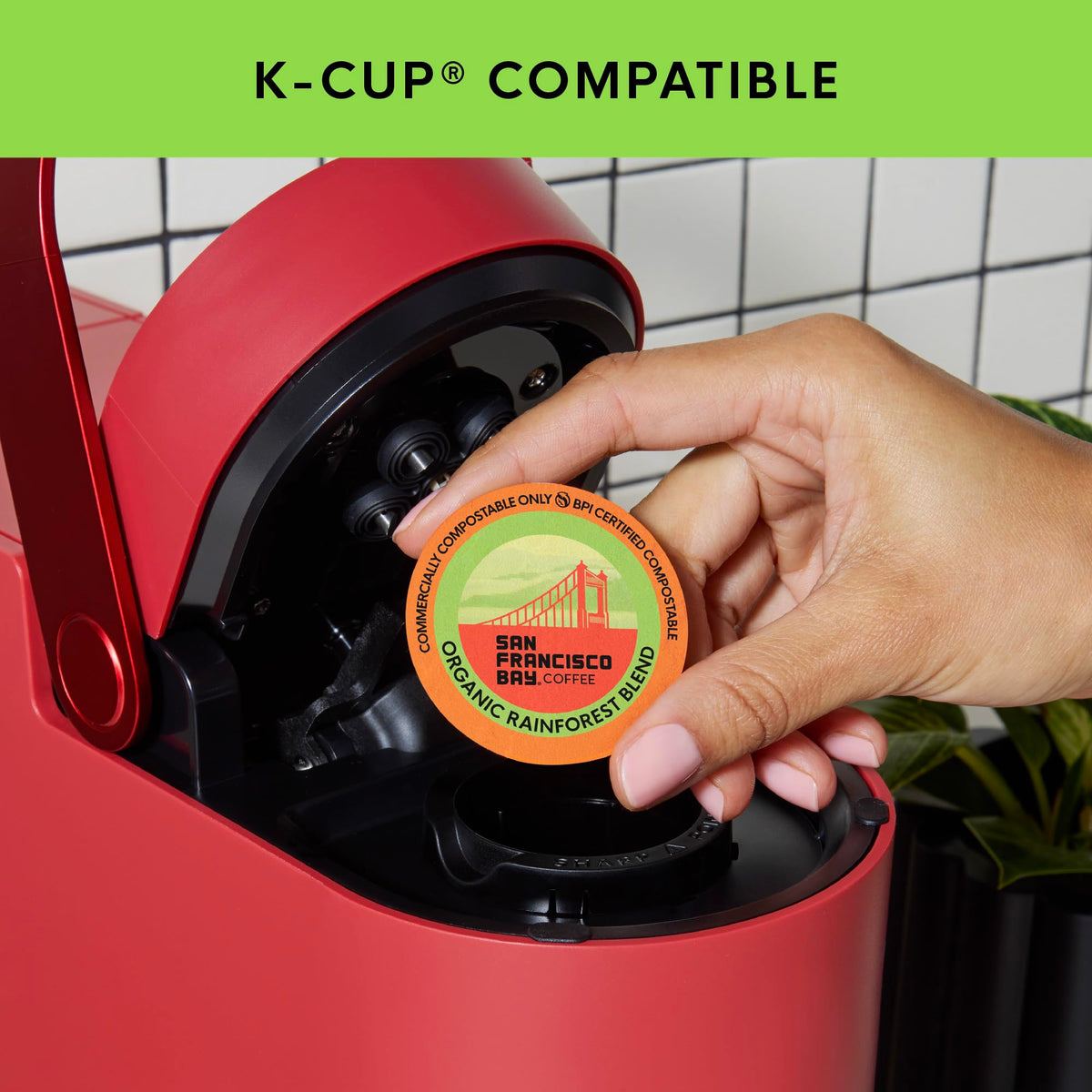 Organic Rainforest Blend K-Cup Compatible Pods, 80 ct D738