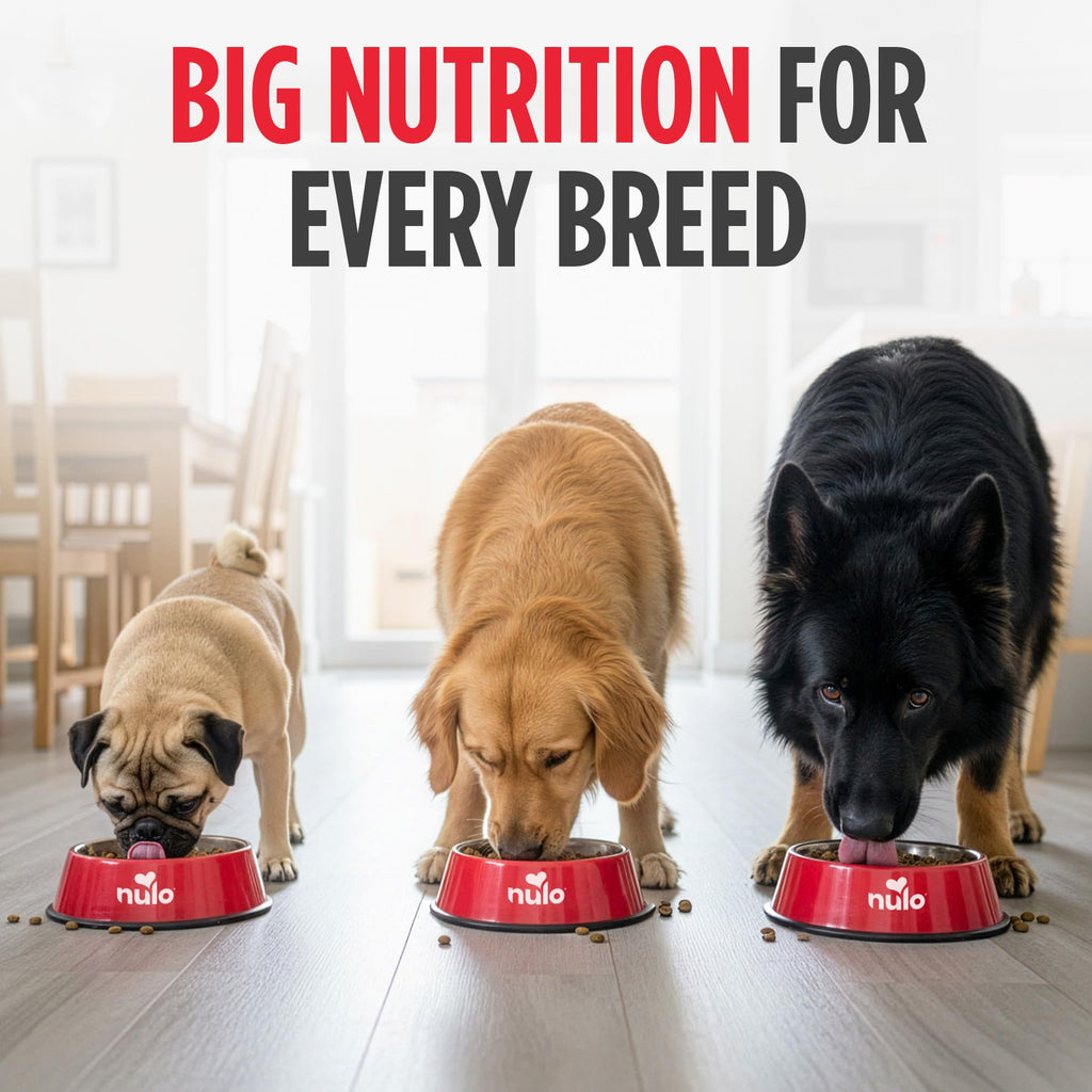Salmon & Peas Grain Free Dry Dog Food U811