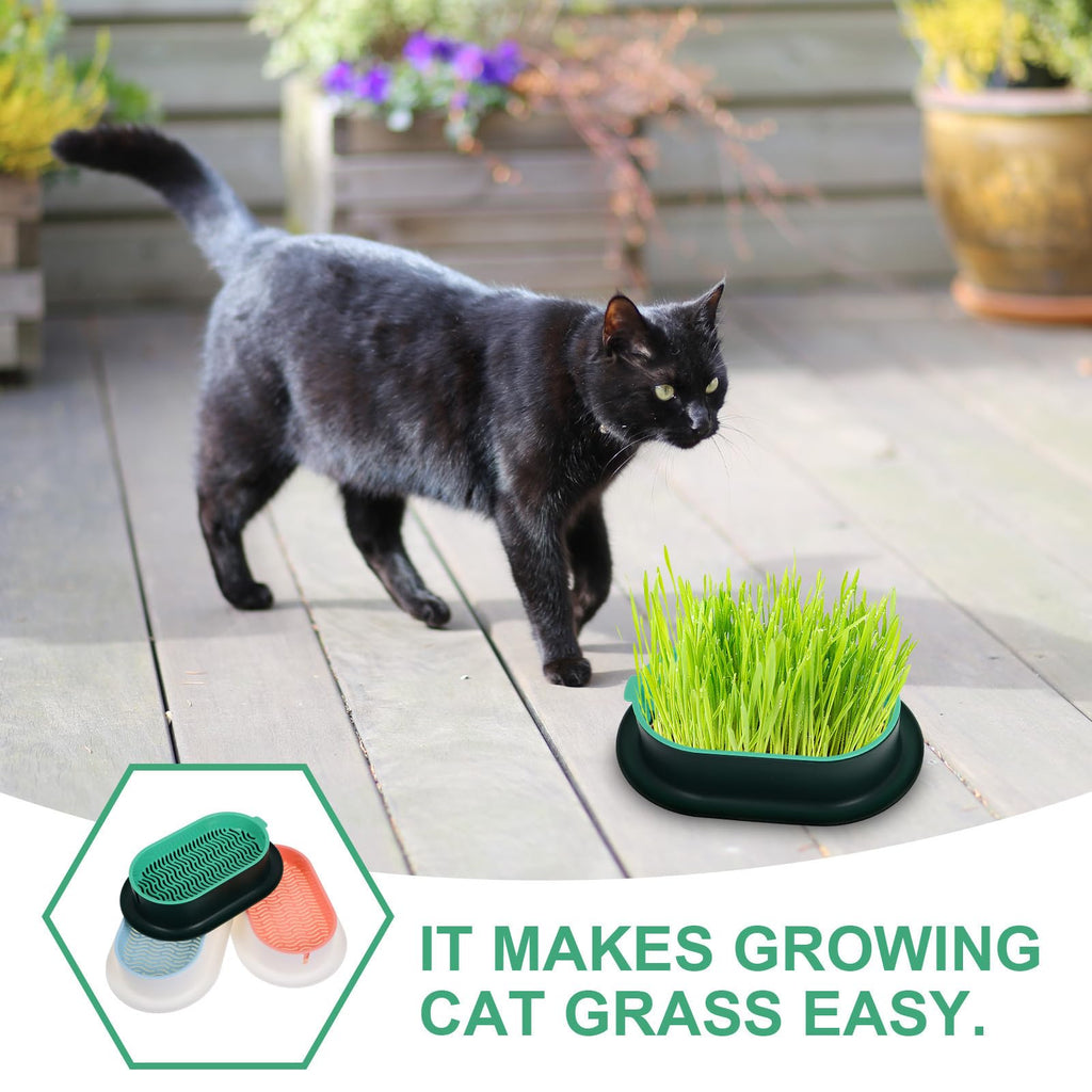 3 Piece Cat Grass Planter Kit H1854