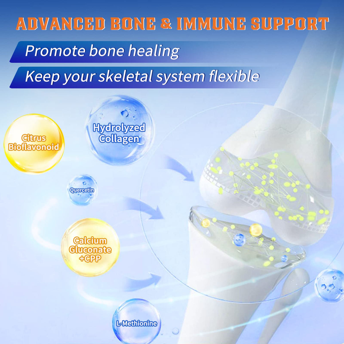 Probiotics with Glucosamine Chondroitin MSM Joint Support Supplement Z99042