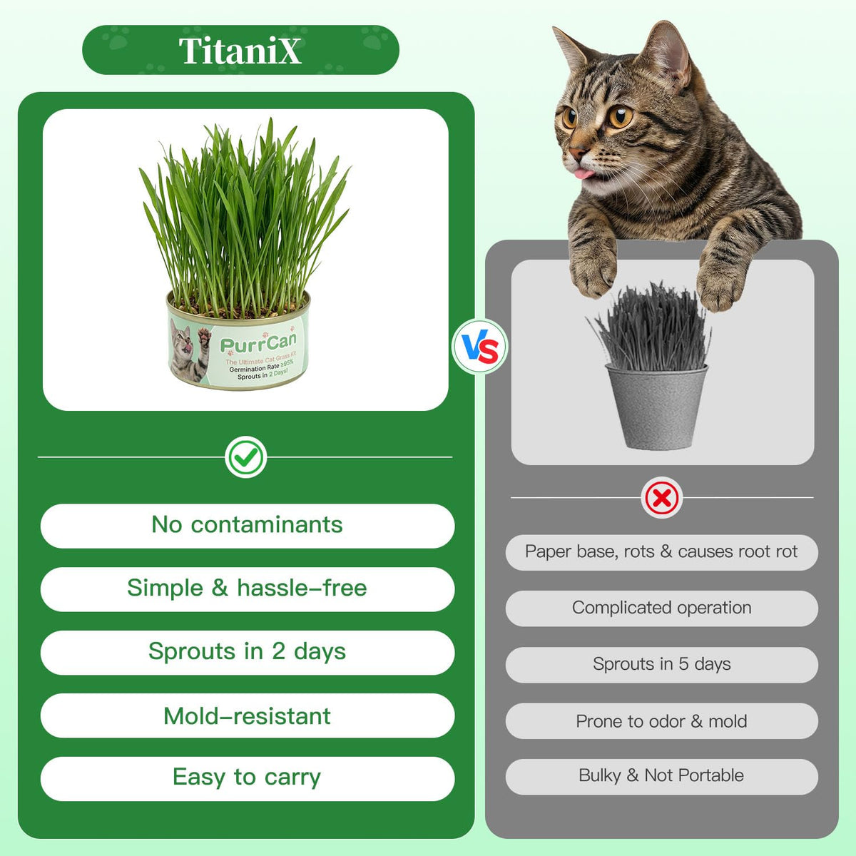 4 Can Cat Grass Kit with Non-GMO Organic Wheat Seeds K76353