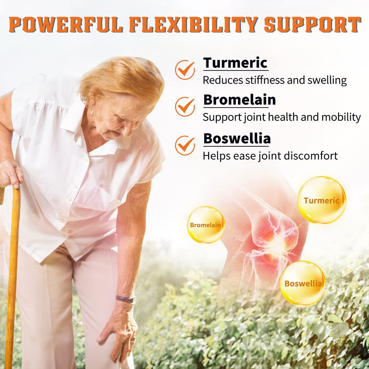 Probiotics with Glucosamine Chondroitin MSM Joint Support Supplement Z99042