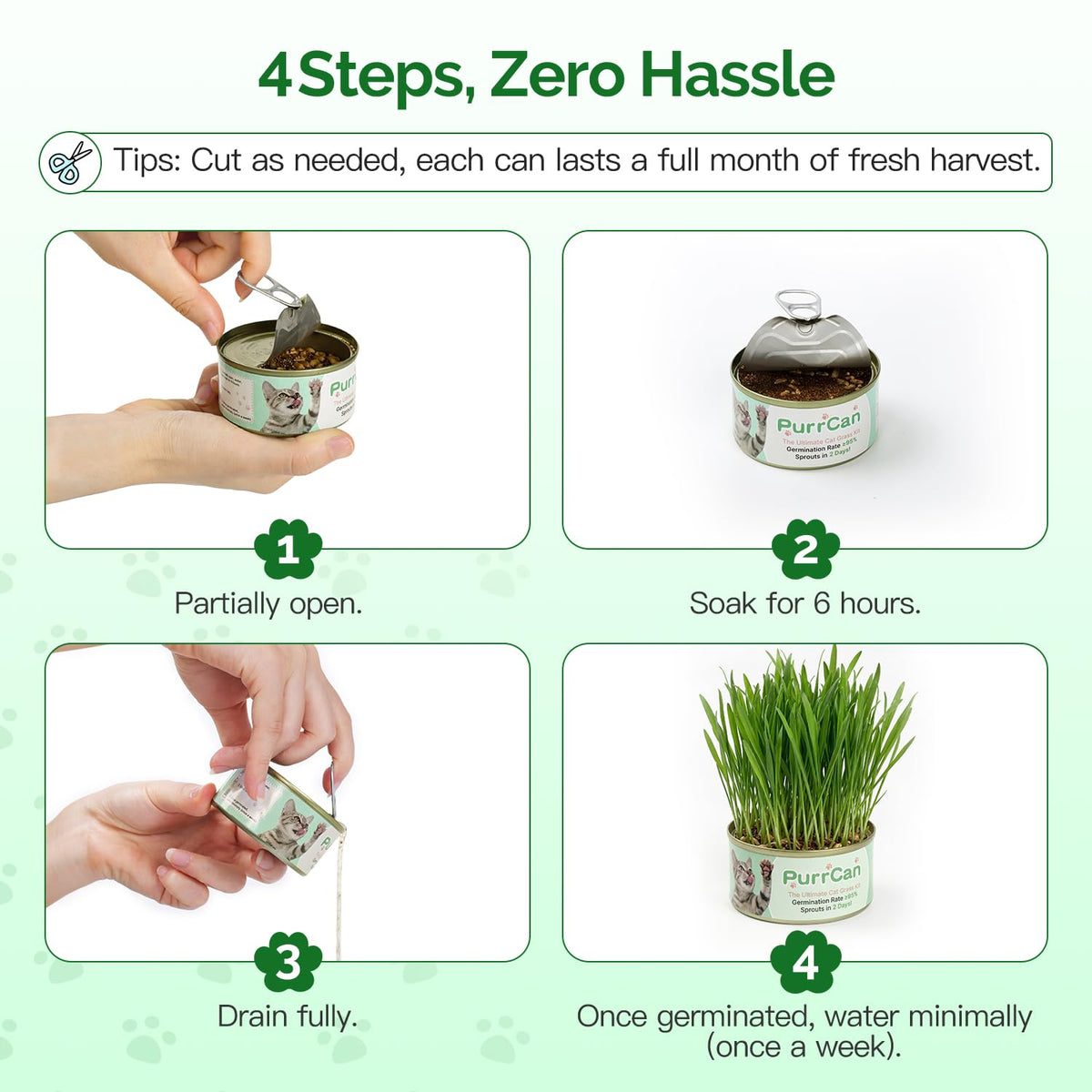 4 Can Cat Grass Kit with Non-GMO Organic Wheat Seeds K76353