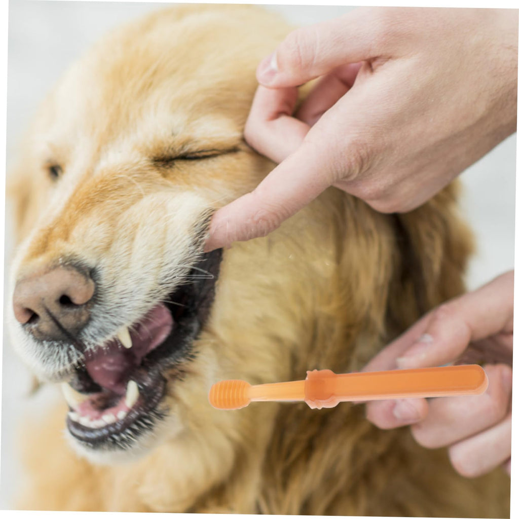 Silicone Dog Toothbrush Kit K942334