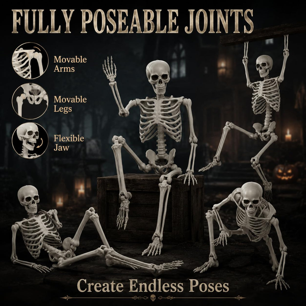 Life Size Poseable Skeleton B141