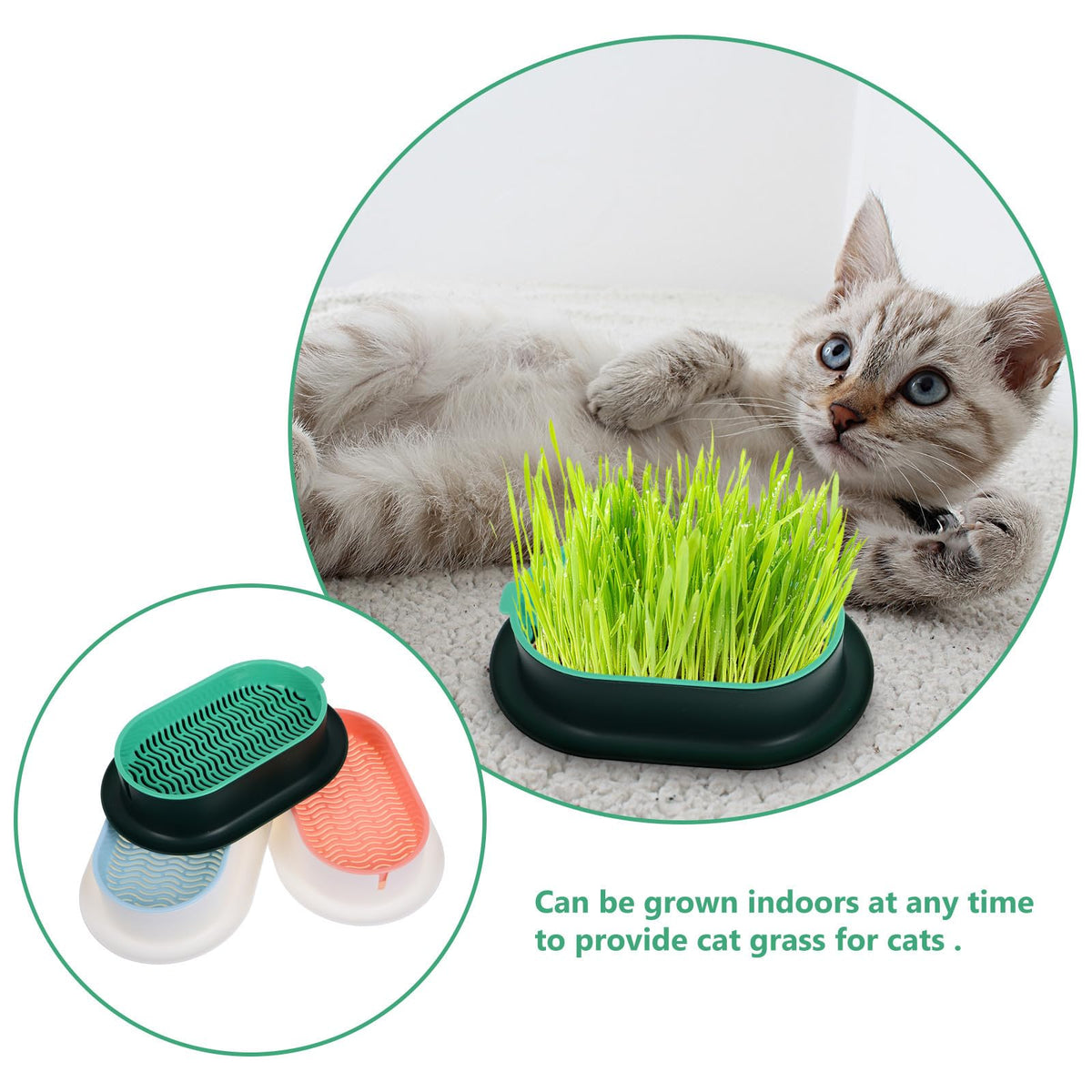 3 Piece Cat Grass Planter Kit H1854