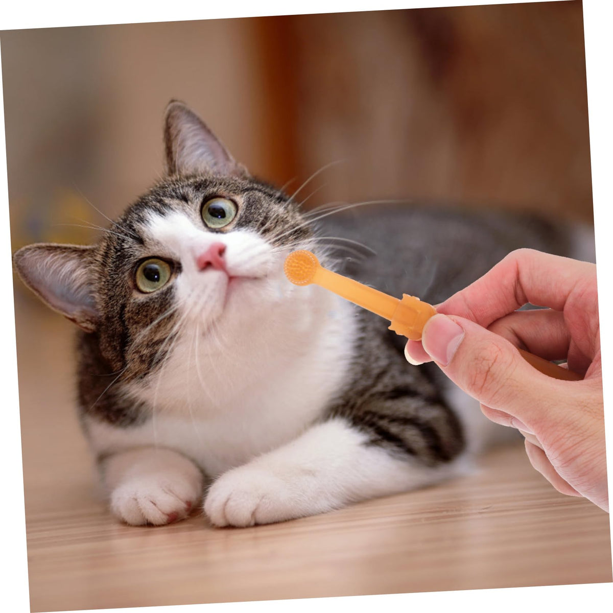 Silicone Dog Toothbrush Kit K942334