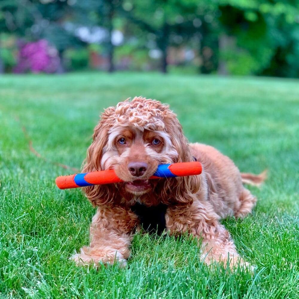 Interactive Dog Toy J951