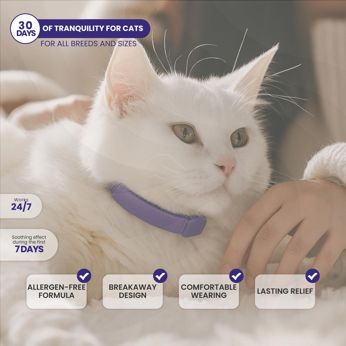 Cat Calming Collar 2-Pack S261994