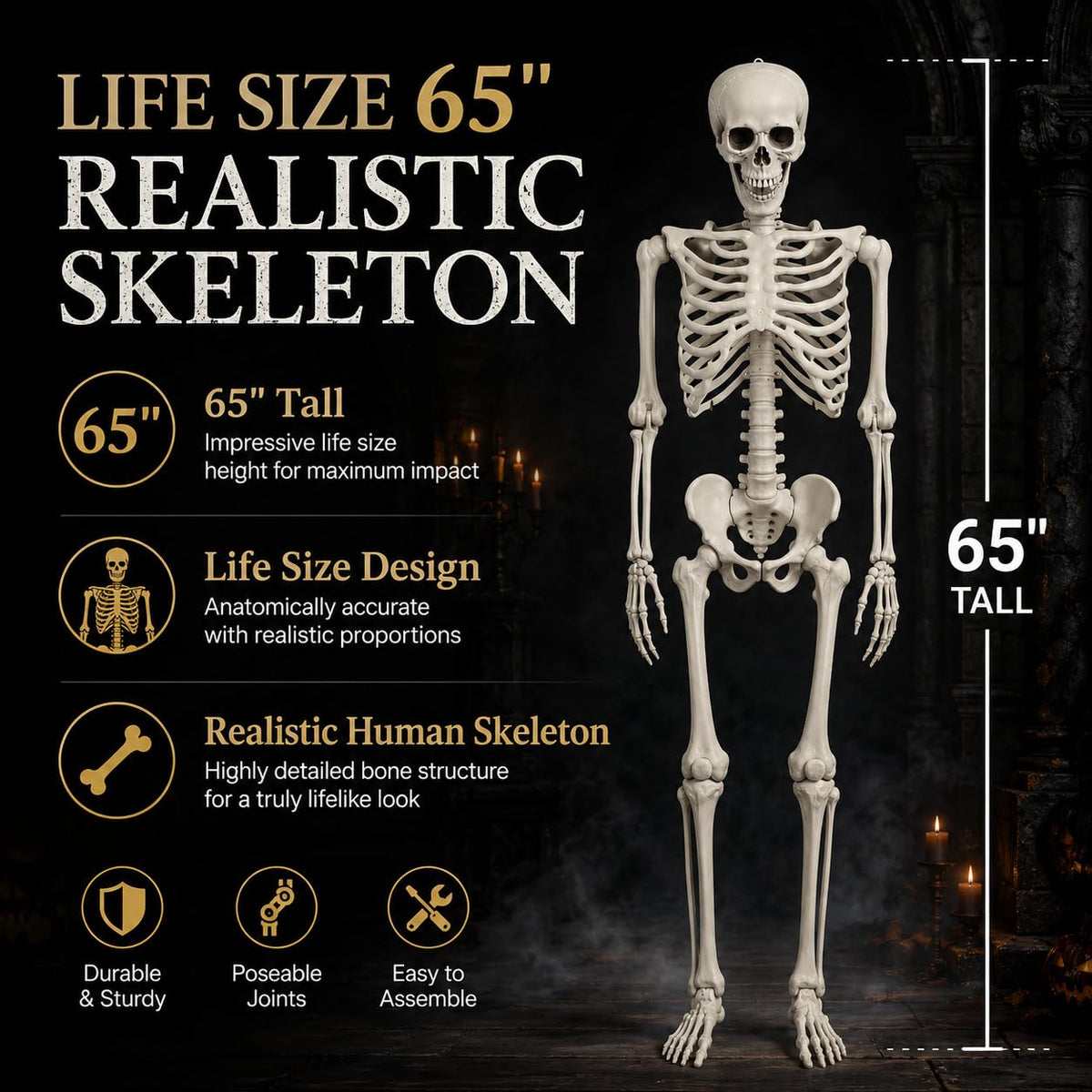 Life Size Poseable Skeleton B141