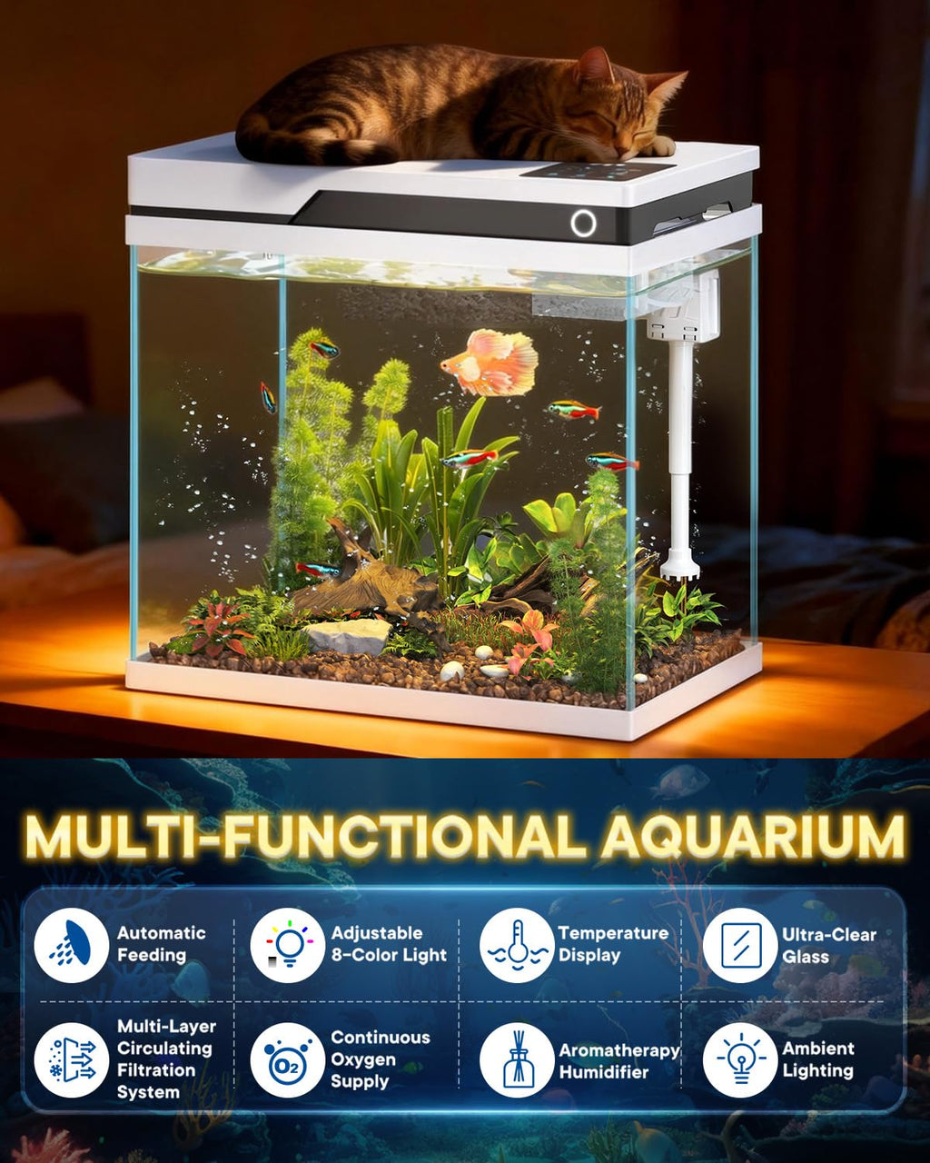 7 Gallon Fish Tank L6121