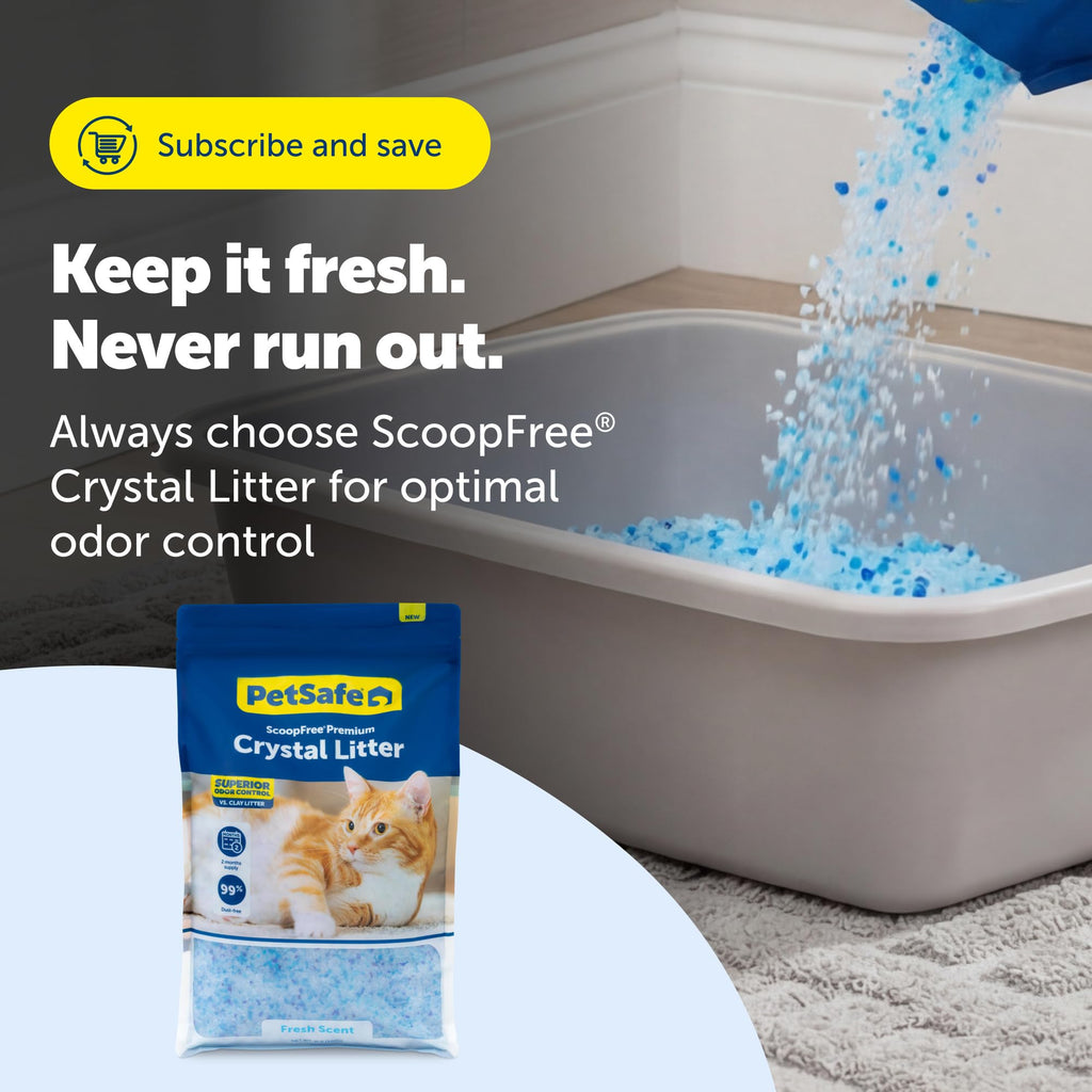 Odor Control Crystal Cat Litter, Fresh Scent, 8 Lb Bag S8939