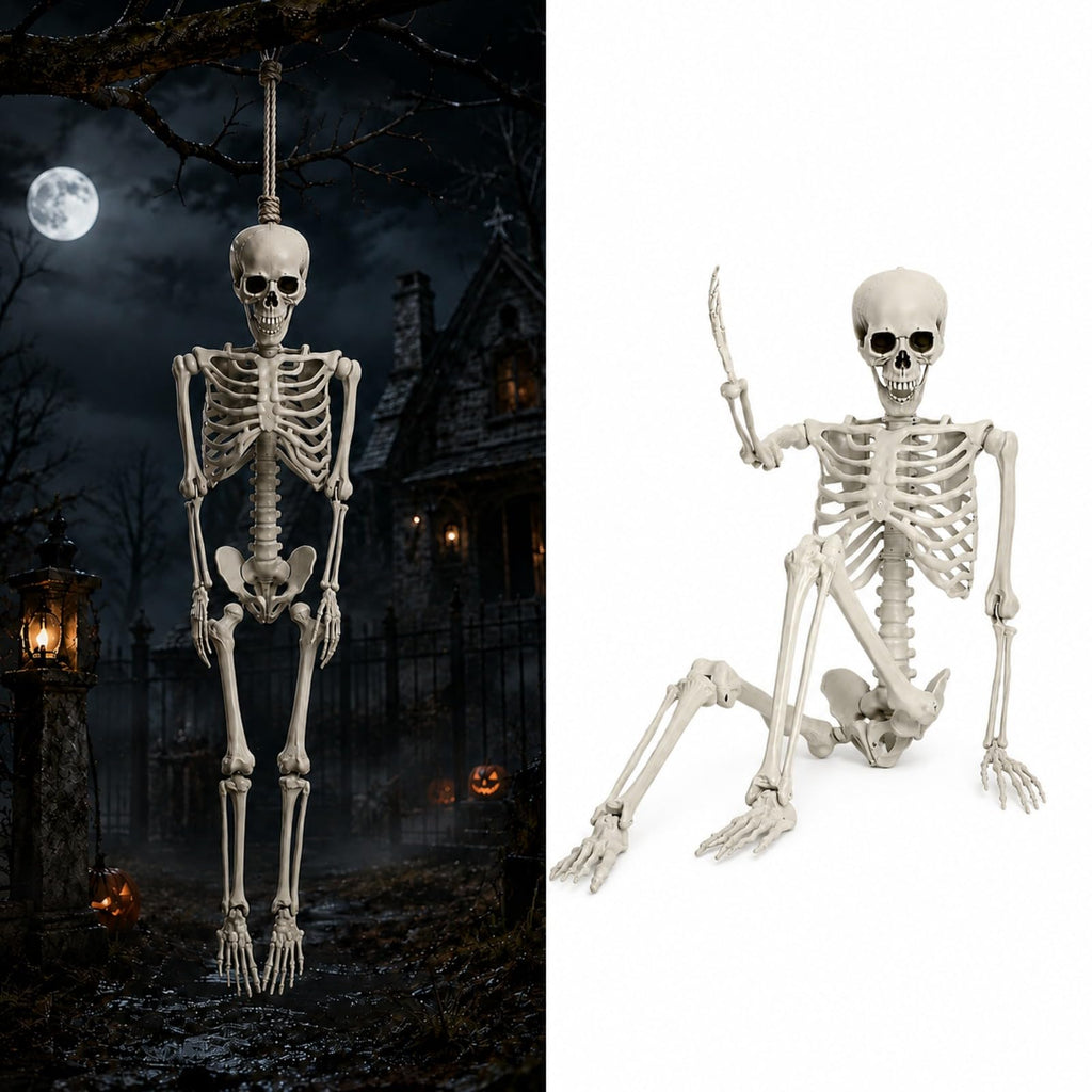 Life Size Poseable Skeleton B141