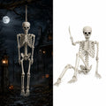 Life Size Poseable Skeleton B141