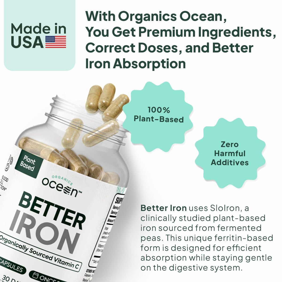 Plant-Based Iron Supplement, 30 Capsules Z128217