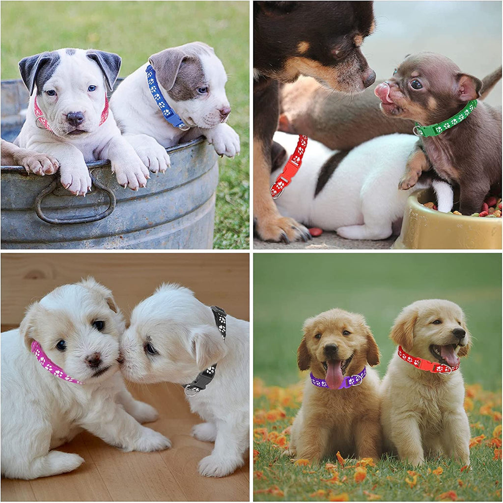12 Pack Adjustable Puppy Collars T121