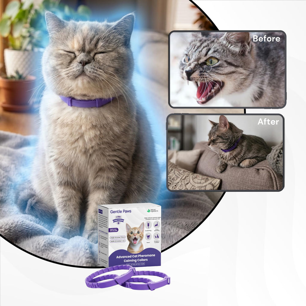 Cat Calming Collar 2-Pack S261994