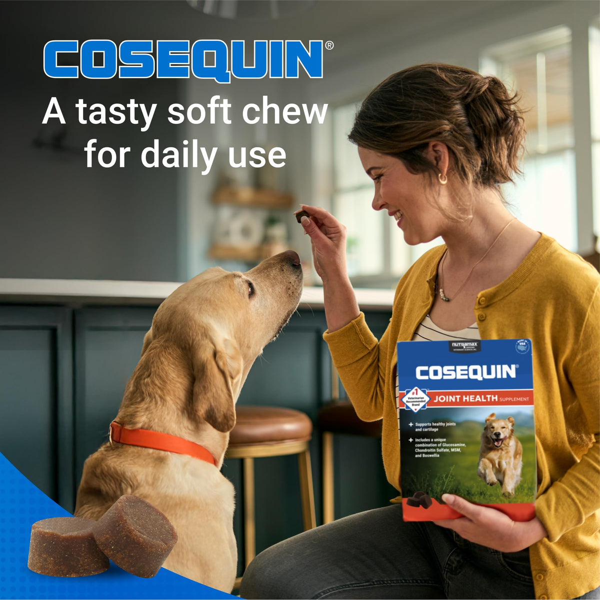 60 Soft Chews (Pack of 2) P453121