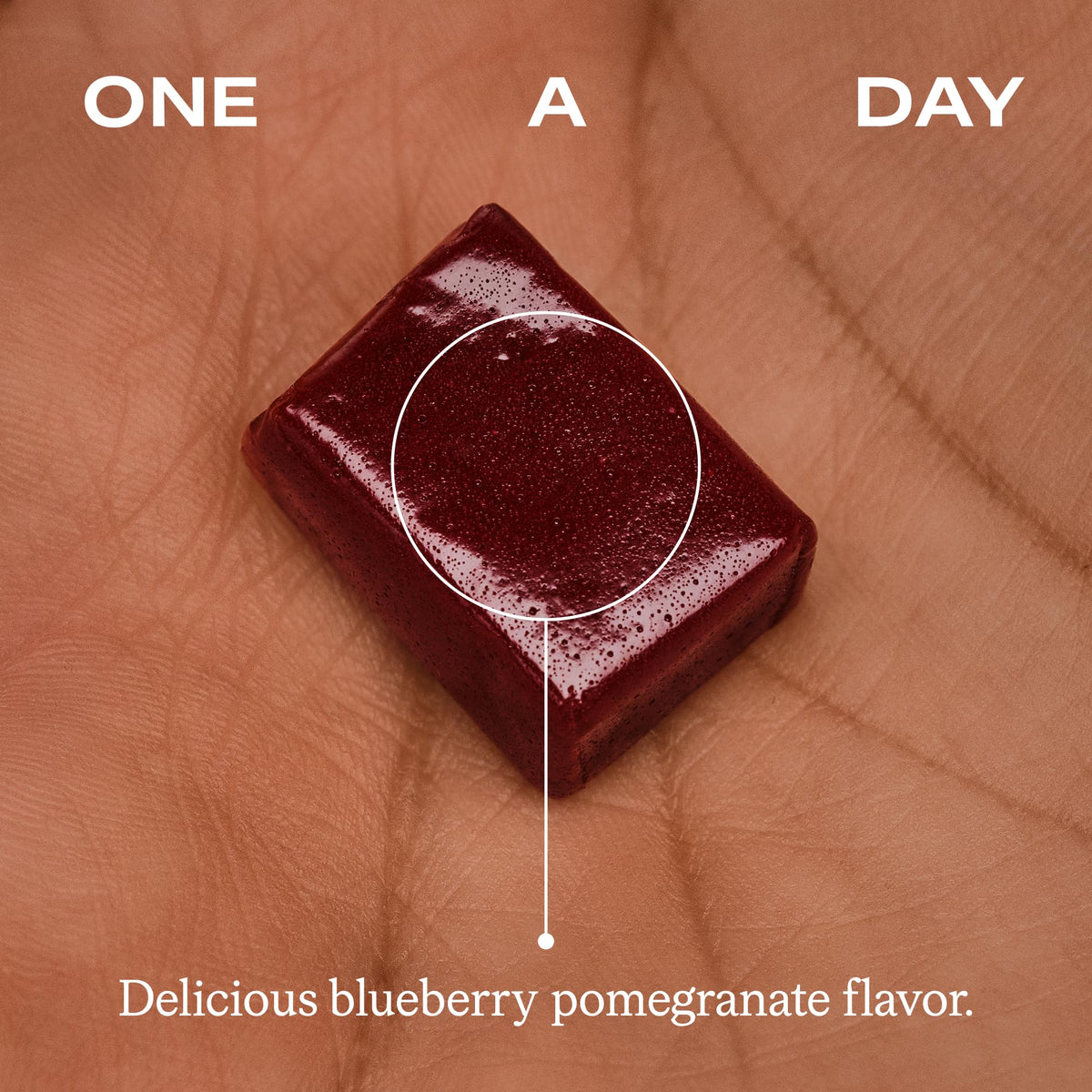 Blueberry Pomegranate Flavor 30 Ct Chews T764