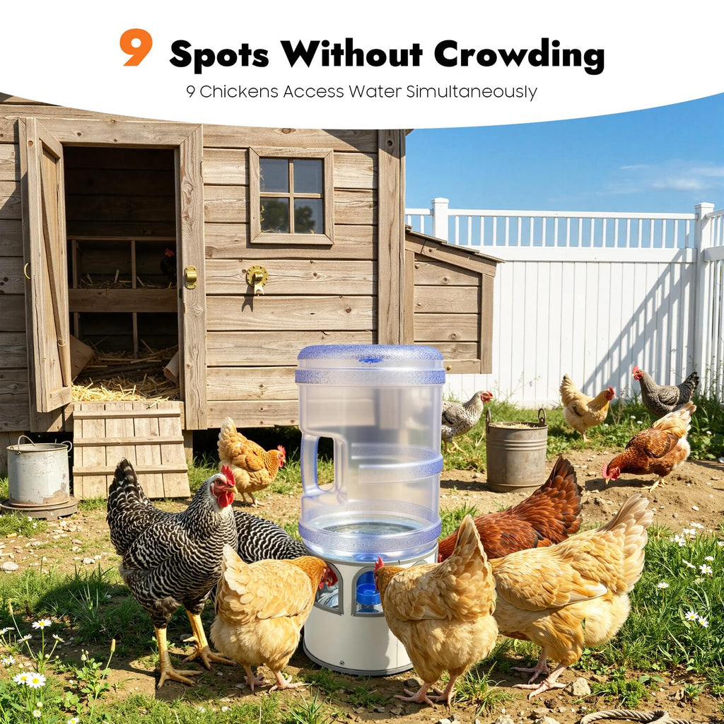 80W Heated Poultry Chicken Waterer 5 Gallon L569