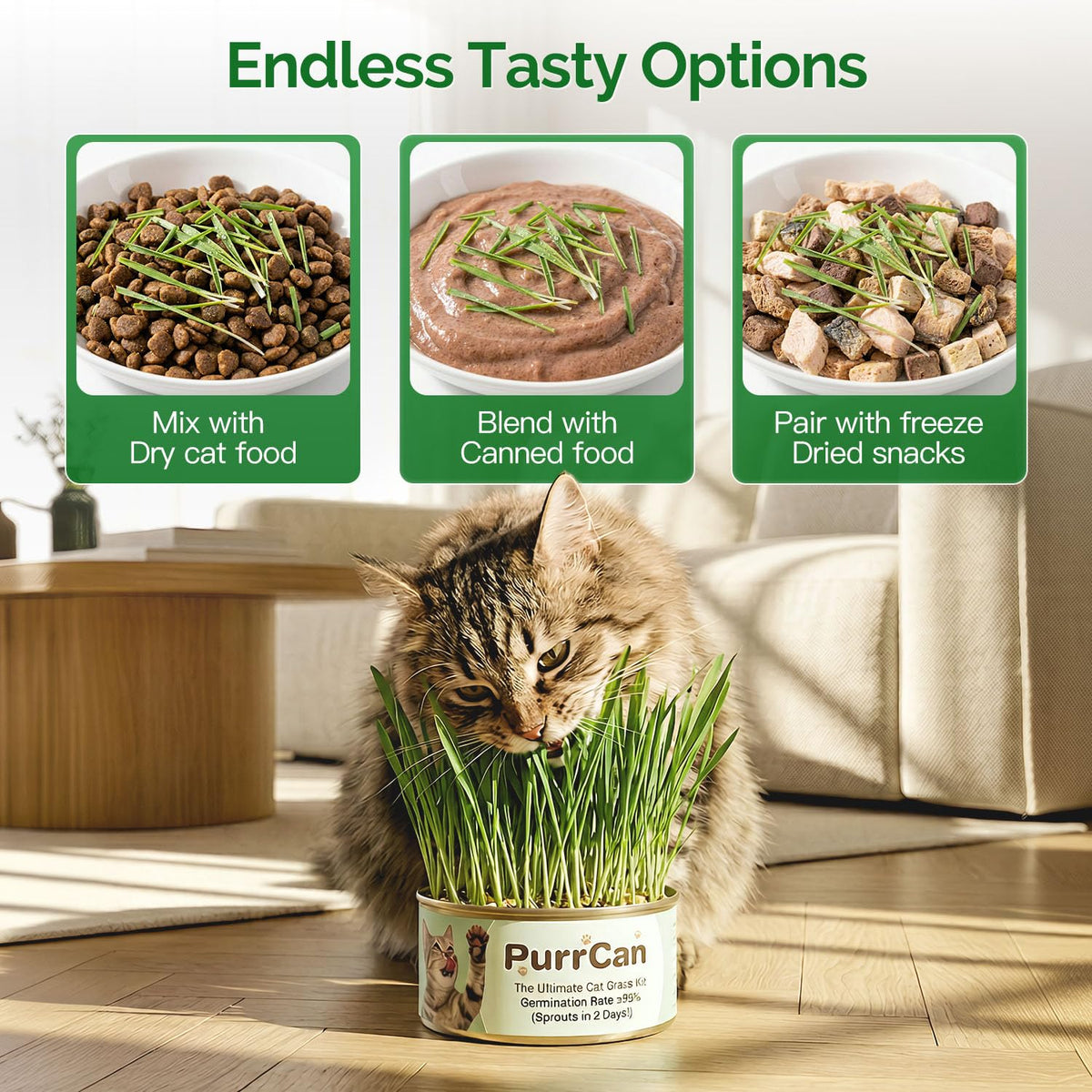 4 Can Cat Grass Kit with Non-GMO Organic Wheat Seeds K76353