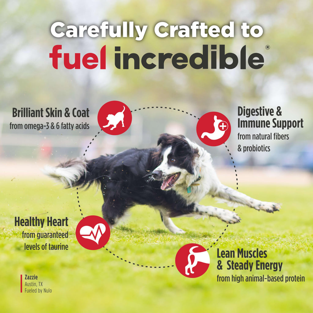 Salmon & Peas Grain Free Dry Dog Food U811