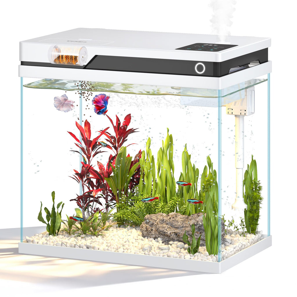 7 Gallon Fish Tank L6121