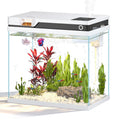 7 Gallon Fish Tank L6121