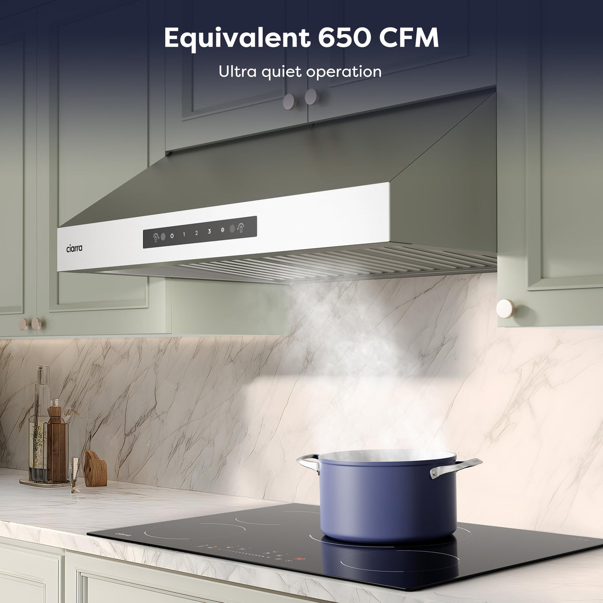 30 Inch Stainless Steel Under Cabinet Range Hood R790