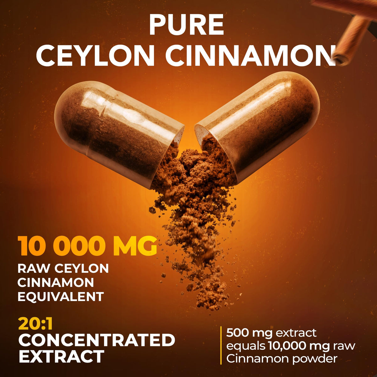 Cinnamon Capsules 500mg 60 Caps V134