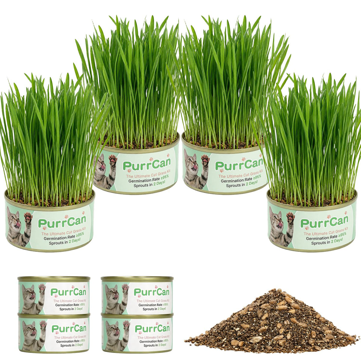 4 Can Cat Grass Kit with Non-GMO Organic Wheat Seeds K76353