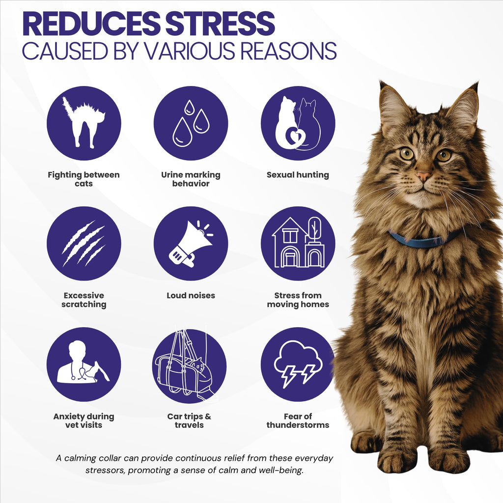 Cat Calming Collar 2-Pack S261994
