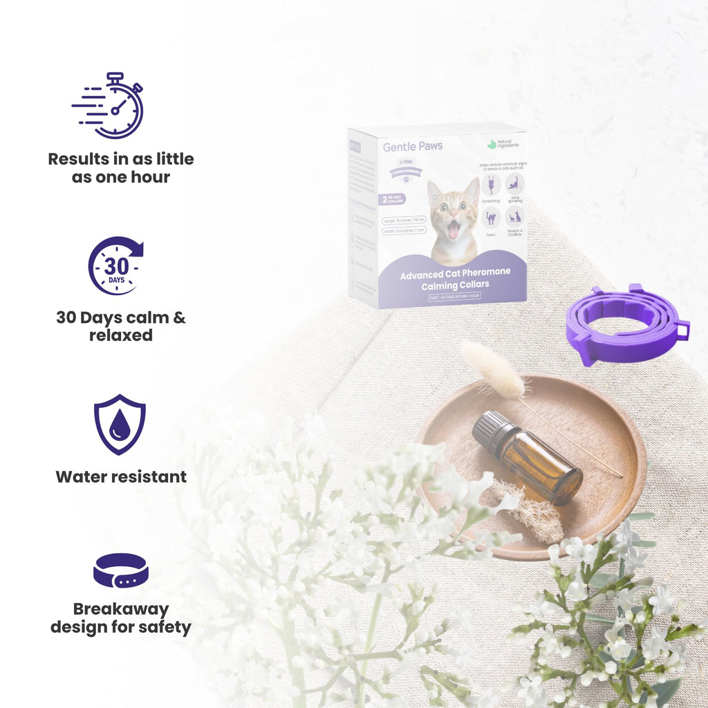 Cat Calming Collar 2-Pack S261994