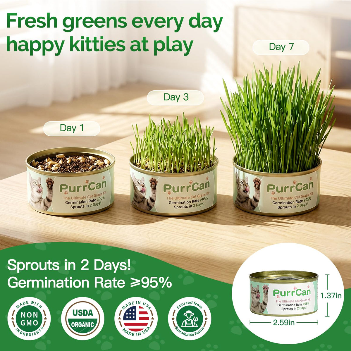 4 Can Cat Grass Kit with Non-GMO Organic Wheat Seeds K76353