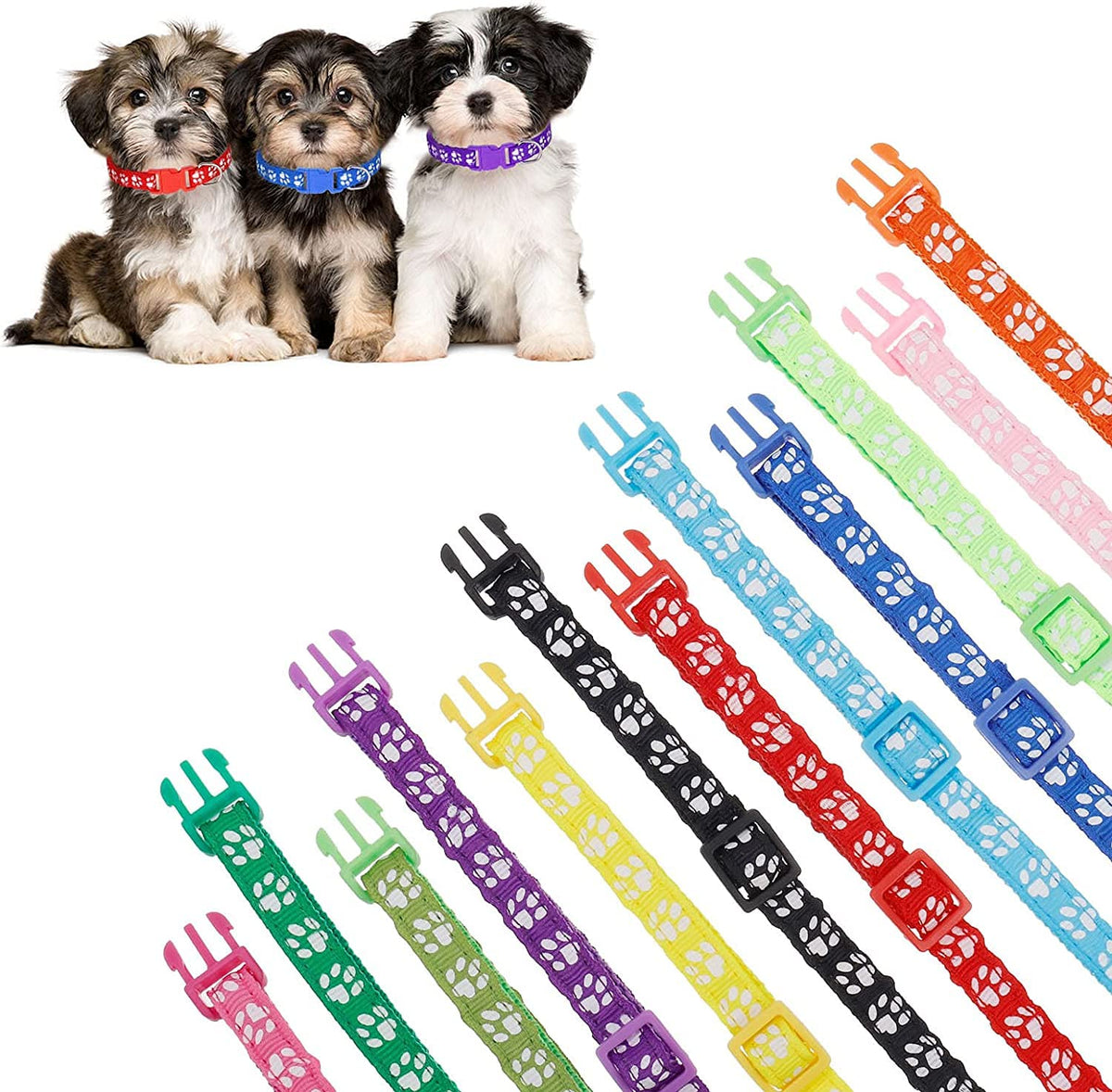 12 Pack Adjustable Puppy Collars T121